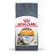 Royal Canin Hair & Skin Care Crocchette per gatto 4 kg