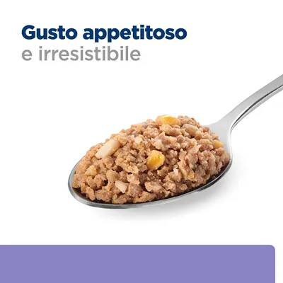 Gusto appetitoso e irresistibile, testo visibile sopra una cucchiaio con cibo umido per animali.