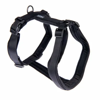 Black dog harness with adjustable straps and click fasteners, padded for extra comfort.