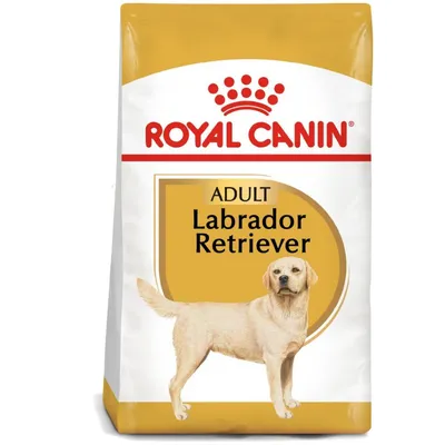 Opakowanie karmy Royal Canin Adult Labrador Retriever z widocznym napisem marki i nazwą produktu na białym tle, ilustracja psa rasy labrador retriever.