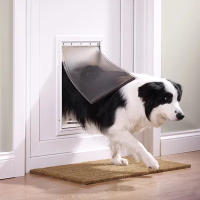 Petsafe Staywell hundedør 640