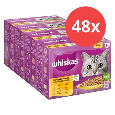 Megapack Whiskas 1+ años 48 x 85 g en bolsitas Selección de pescado en gelatina