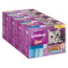 Gemengd Pakket Whiskas Duo Portiezakjes 48 x 85 g Kattenvoer Ocean Delights in gelei