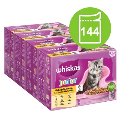 Whiskas Junior hydinový výber v želé, 144 porcií pre mačky vo veku 2-12 mesiacov. Obsahuje kuracie, kačacie, morčacie a hydinové. 100% vyvážené zložky. Whiskas Junior hydinový výber v želé, 144 porcií pre mačky vo veku 2-12 mesiacov. Obsahuje kuracie, kačacie, morčacie a hydinové. 100% vyvážené zložky.