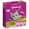 Whiskas 1+ jahňacie 800 g
