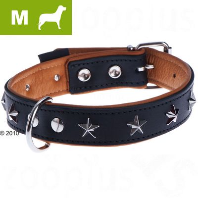 Obroża dla psa rozmiar M, czarna z brązowym wnętrzem, ozdobiona metalowymi gwiazdkami i nitami, widoczna klamra oraz kółko do przypięcia smyczy.