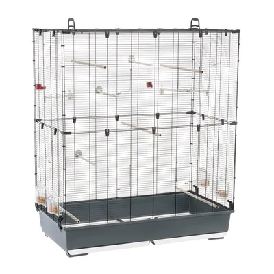 Large wire cage with multiple wooden perches, clear food and water dispensers attached to the sides, and a deep plastic base for collecting waste.