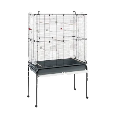 Grande cage à oiseaux en métal noir sur pieds avec roulettes, plusieurs perchoirs en bois, mangeoires transparentes et deux tiroirs blancs amovibles sous la cage.