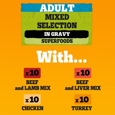Pedigree Pouch in Gravy Multipack - Mixed Selection (40 x 100g)