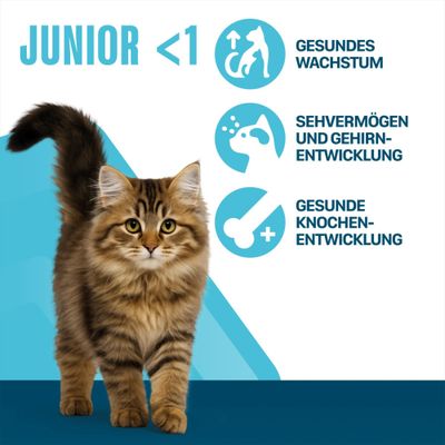 Perfect Fit Katzenfutter Junior <1 - Reich an Huhn