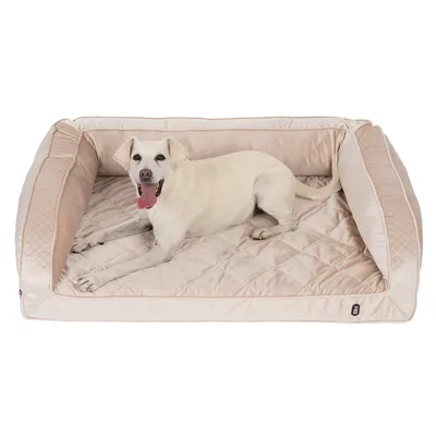 Beige dog bed with padded sides and quilted base. White dog lying relaxed inside.