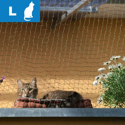 Kočka ležící za ochrannou sítí na balkoně, vlevo nahoře modré pole s písmenem L a bílou siluetou kočky. Vpravo květiny v květináči. Kočka ležící za ochrannou sítí na balkoně, vlevo nahoře modré pole s písmenem L a bílou siluetou kočky. Vpravo květiny v květináči.