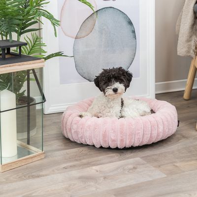 Petit chien noir et blanc allongé dans un panier rond en tissu rose, posé sur un sol en bois clair. Décor intérieur visible en arrière-plan.
