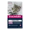 Eukanuba Kitten Grain Free Salmone Crocchette per gatto 2 kg