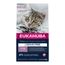 Eukanuba Kitten Grain Free Reich an Lachs Sparpaket: 3 x 2 kg