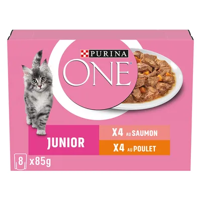 Purina ONE Junior cibo per gatti, 8x85g, 4x salmone, 4x pollo. Confezione con gattino grigio e piatto con pezzi di carne.