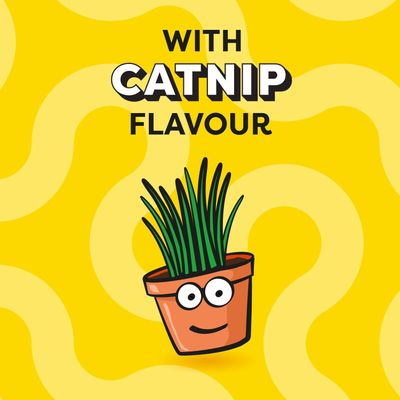 Dreamies Cat Treat Biscuits Mega Tub - Catnip (350g)