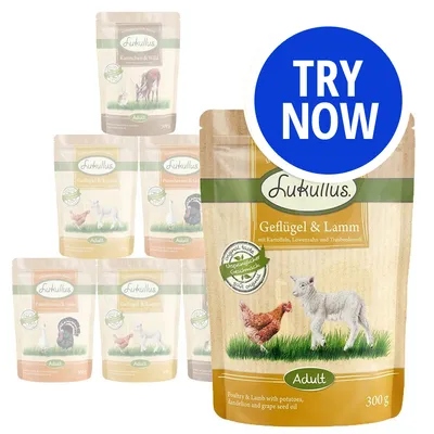 Selection of Lukullus adult food pouches in various flavours, with a large pouch labelled poultry and lamb with potatoes, dandelion and grape seed oil. Blue circle reads 'Try Now'.