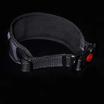 Zwarte halsband met gevoerde binnenkant, reflecterende naden en rode sluitknop.