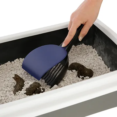 Hand uses a black cat litter scoop with a blue handle to remove faeces from a litter tray with litter.