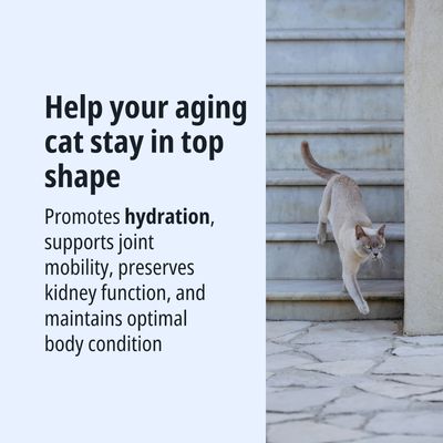 Aiuta i gatti anziani a mantenersi in ottima forma: favorisce l’idratazione, sostiene la mobilità articolare, preserva la funzione renale e la condizione corporea ottimale.