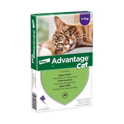 Advantage® 80 voor Katten vanaf 4 kg - 4 pipetten - BE