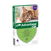 Advantage® 80 voor Katten vanaf 4 kg - 4 pipetten - BE