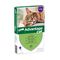 Advantage® 80 pour chat et lapin > 4 kg 4 mois de protection (4 pipettes)