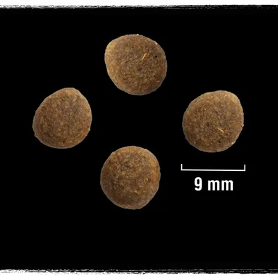 Patru crochete rotunde de hrană uscată, diametru indicat de 9 mm, pe fundal negru.