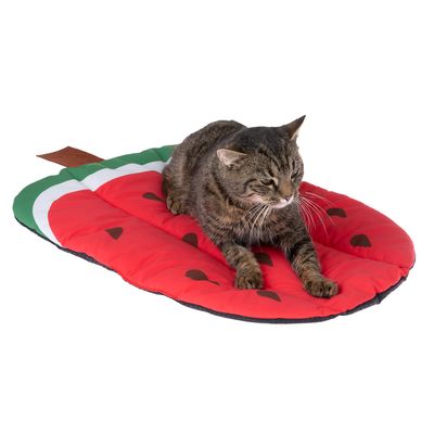 TIAKI Watermelon Cooling Mat 65 x 40cm (L x W)