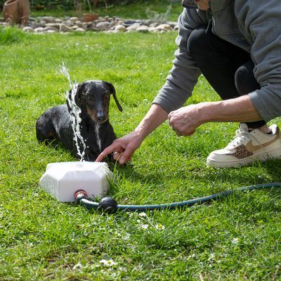 TIAKI Fântână de grădină pentru câini