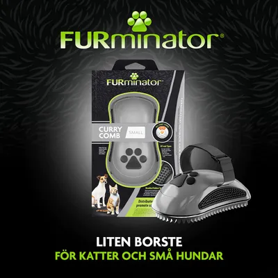 FURminator Curry Comb Small, liten borste för katter och små hundar. Förpackning och produkt med tassmotiv, text: Liten borste för katter och små hundar. FURminator Curry Comb Small, liten borste för katter och små hundar. Förpackning och produkt med tassmotiv, text: Liten borste för katter och små hundar.