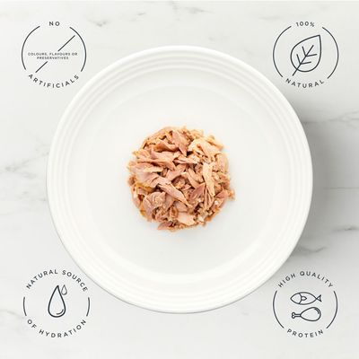 Encore Cat Tin 16 x 70g - Tuna Fillet with Salmon
