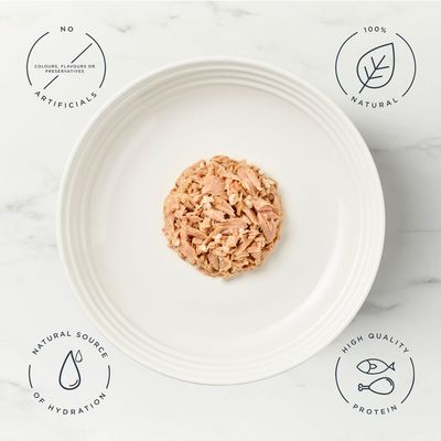 Encore Cat Tin 16 x 70g - Tuna Fillet