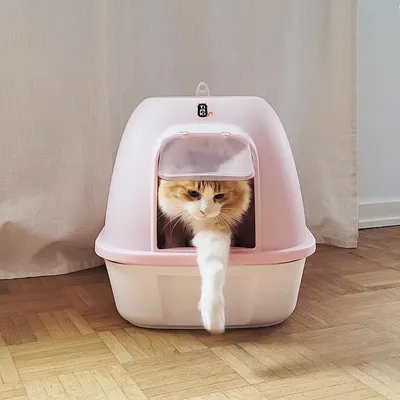 Katzenstreuhaus in Rosa mit Klapptür, Katze tritt heraus. Geeignet für diskrete Nutzung und einfache Reinigung.