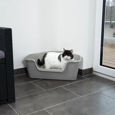 Caja de arena gris para gatos con entrada baja, utilizada por un gato blanco y negro. Adecuada para interiores con suelo de baldosas.