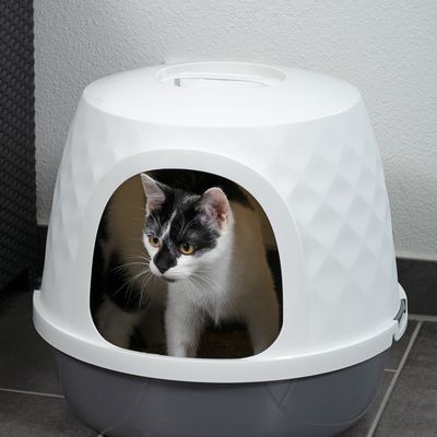 Caja de arena blanca para gatos con base gris, gato asomando por la abertura ovalada.
