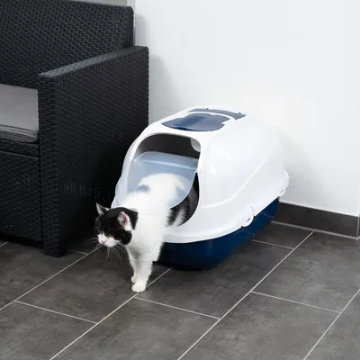 Chat noir et blanc sortant d'une maison de toilette pour chat en plastique blanc et bleu, avec porte battante transparente, posée sur un sol carrelé à côté d'un fauteuil en rotin.