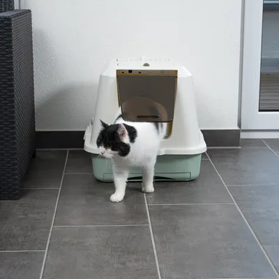 Zárt macskaalom ajtóval, fehér-zöld, macska elhagyja az almot. Beltéri diszkrét használatra alkalmas.