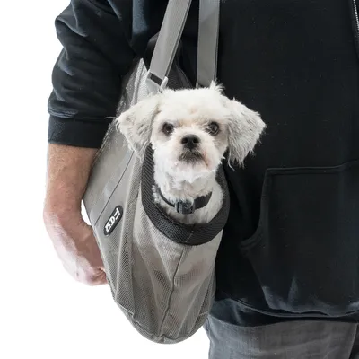 Un piccolo cane bianco seduto in una borsa grigia con rete, portata da una persona. La borsa mostra il logo 'EZY'.
