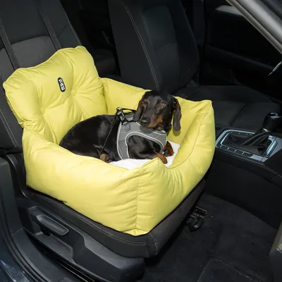 Panier de voiture jaune TIAKI avec un chien noir portant un harnais gris, installé sur le siège passager avant d’une voiture.