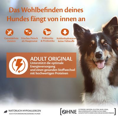 Das Wohlbefinden deines Hundes fängt von innen an. Adult Original: Unterstützt Energieversorgung und Stoffwechsel mit hochwertigen Proteinen. Natürlich hypoallergen, ohne Gluten oder Soja.
