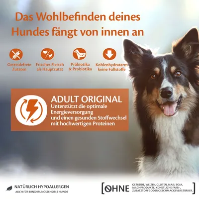 Das Wohlbefinden deines Hundes fängt von innen an. Adult Original: Unterstützt Energieversorgung und Stoffwechsel mit hochwertigen Proteinen. Natürlich hypoallergen, ohne Gluten oder Soja.