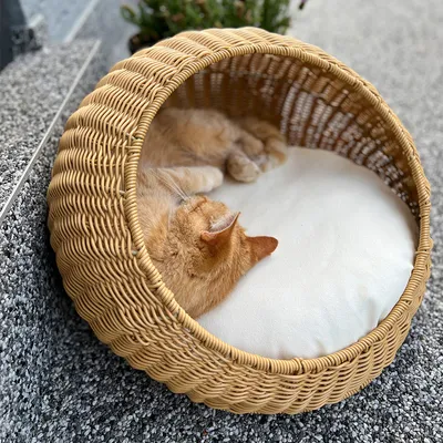 Cesta redonda para gatos de ratán trenzado con cojín blanco. Un gato naranja duerme dentro.