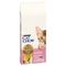 PURINA Cat Chow Kitten csirke 15 kg