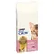 PURINA Cat Chow Kitten ricco in Pollo Crocchette per gatto Set %: 2 x 15 kg