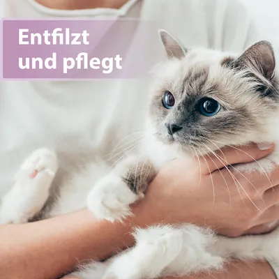 Text im Bild: Entfilzt und pflegt. Text im Bild: Entfilzt und pflegt.