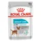 Royal Canin Urinary Care Mousse säästöpakkaus: 48 x 85 g