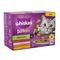 Whiskas 1+ Pouches Mega Multibuy 96 x 85g Tasty Mix Chef's Choice in Gravy
