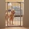 Traliehek Dog Barrier 2 - 107 cm hoog H: 107 cm, B: 75 tot 84 cm